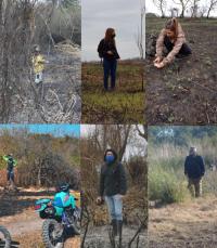 Científicos determinaron los efectos del fuego en el Delta