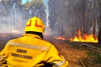 En el año 2021 Entre Ríos: casi 20 mil hectáreas fueron arrasadas por el fuego