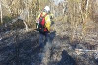 Con un trabajo articulado sofocan un incendio en la Isla Puente