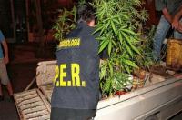Harán controles toxicológicos a policías y despedirán a los consumidores de drogas