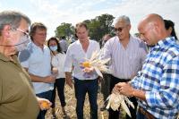 Están disponibles los formularios online para productores afectados por la emergencia