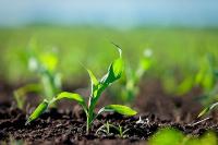 Ruralistas entrerrianos presentó un informe sobre la presión impositiva