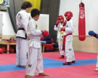 Realizan mañana el Torneo de Verano de taekwondo