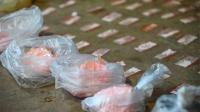 Cocaína envenenada: “Un pequeño grano de carfentanilo ya es letal”