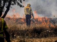 Una "red de veterinarios en  catástrofes" ofrece su trabajo voluntario  en los incendios de Corrientes