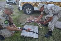 La Brigada de Abigeato   secuestró armas de fuego