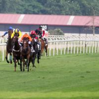 Intensa actividad turfística