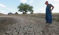 Récords de calor, frío y sequía: Cuáles fueron las "anomalías" y eventos climáticos extremos en 2021