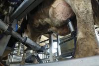 Liberan 600 millones de pesos para productores afectados por la sequía y se suman créditos a valor producto