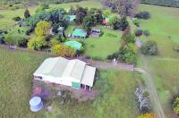 Inquietud e incógnitas por un “santuario multiespecies” en Colón