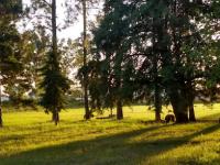 Recuperan lo robado en una capilla