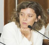 El STJ de jueces subrogantes  rechazó el amparo de Goyeneche