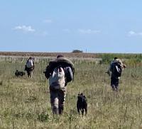 Rechazan la habilitación de la caza de animales nativos