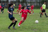 Programaron una nueva fecha del femenino