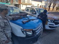 Procedimiento policial contra cazadores ilegales