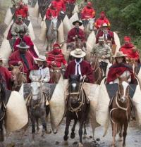 Más de 7.000 gauchos participarán del desfile por el aniversario de la muerte de Güemes en Salta