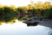 ¿Construirán un barrio en una reserva natural que debe proteger el Estado?