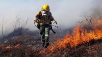 Intensos operativos para combatir incendios en el delta