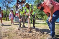 Las provincias protegen sus  árboles con programas de cultivo,  reforestación y georreferencia