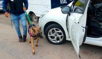 Más entrerrianos detenidos en Corrientes con drogas