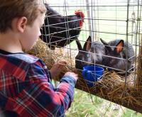 Aseguran que la Expo Rural será una fiesta para toda la familia