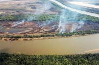Incendios en el Delta del río Paraná:  las claves para entender el conflicto