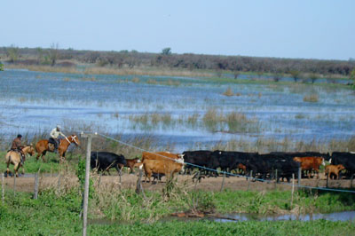Por no haberse limpiado y dragado el arroyo Ñancay, hay 200 mil hectáreas con problemas de inundaciones 