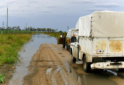 Ruta 51: retomaron los trabajos en el tramo licitado