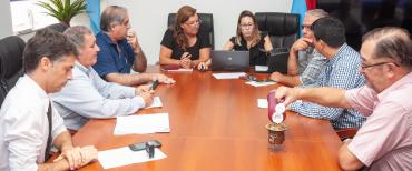 Tres empresas se presentaron para mejorar el ingreso a Villa Paranacito