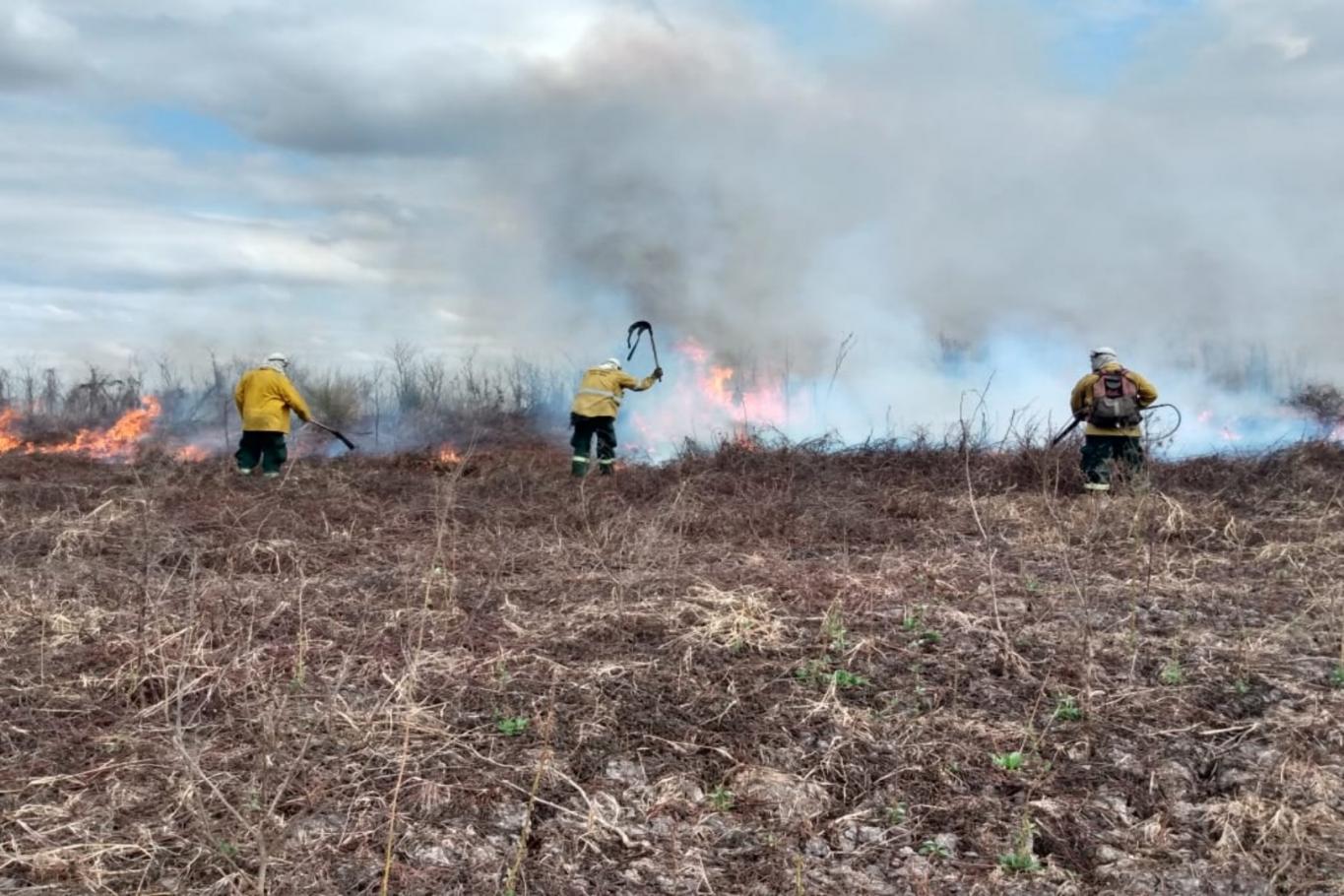 Brigadistas salvaron más de 20 viviendas este fin de semana en la zona del Delta