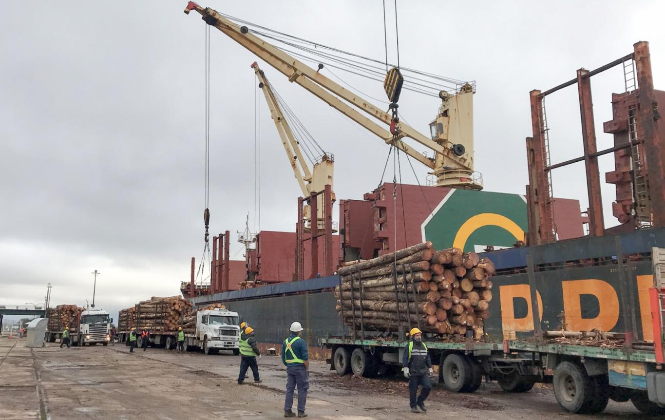 Los puertos entrerrianos continúan en plena actividad