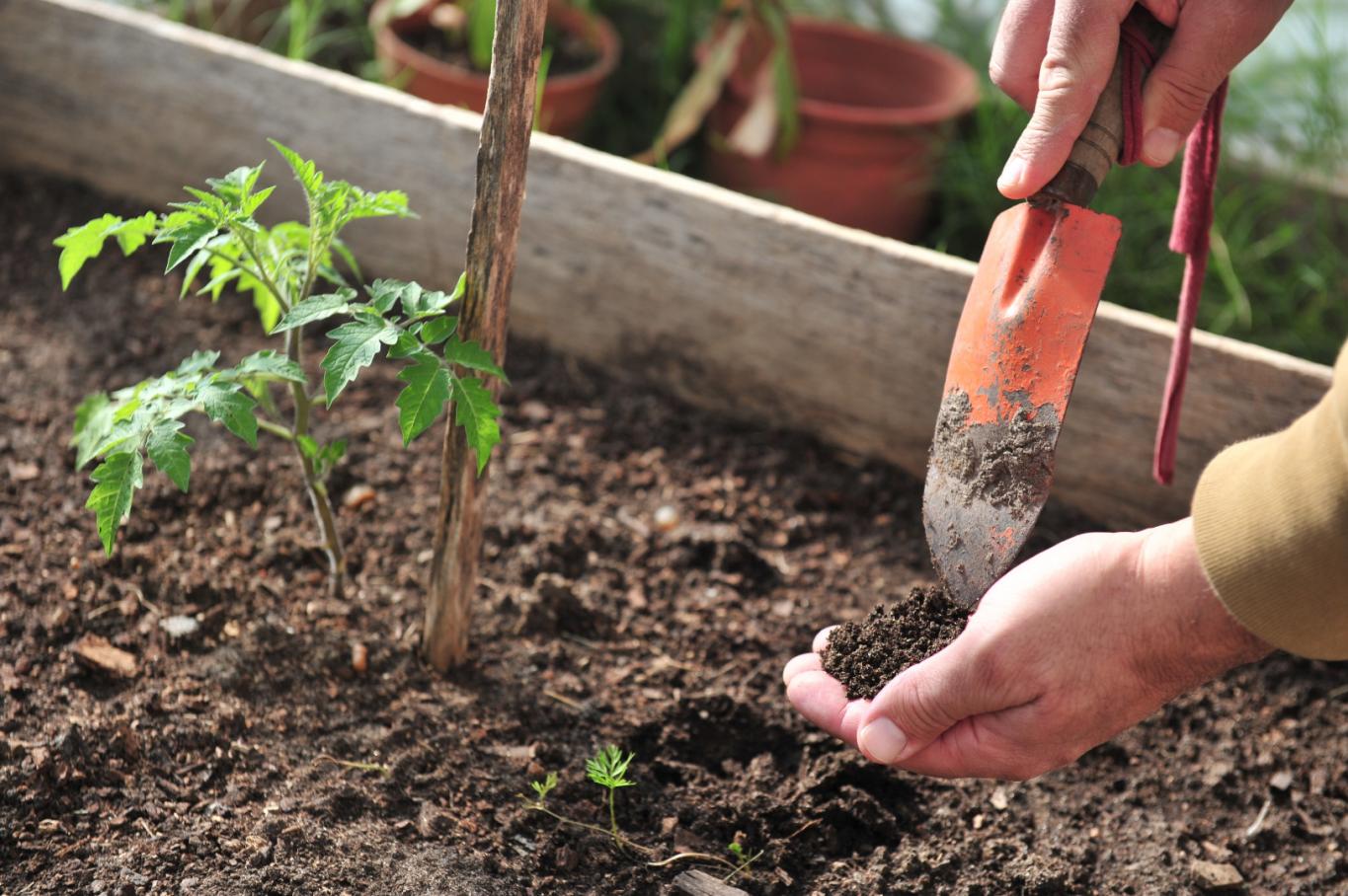 Pueblo Belgrano: entregan semillas de la temporada primavera-verano