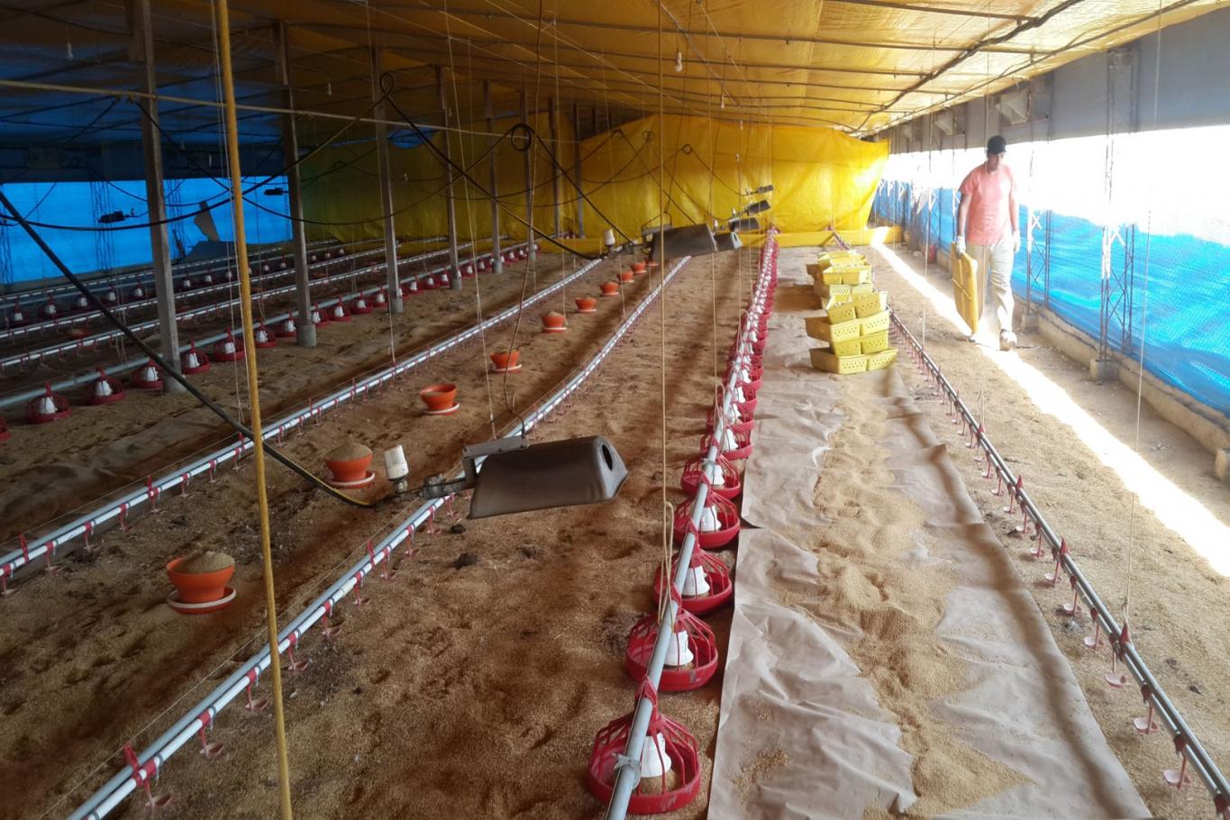 Productores valoraron el impacto positivo de la quita de retenciones a las economías regionales en Entre Ríos