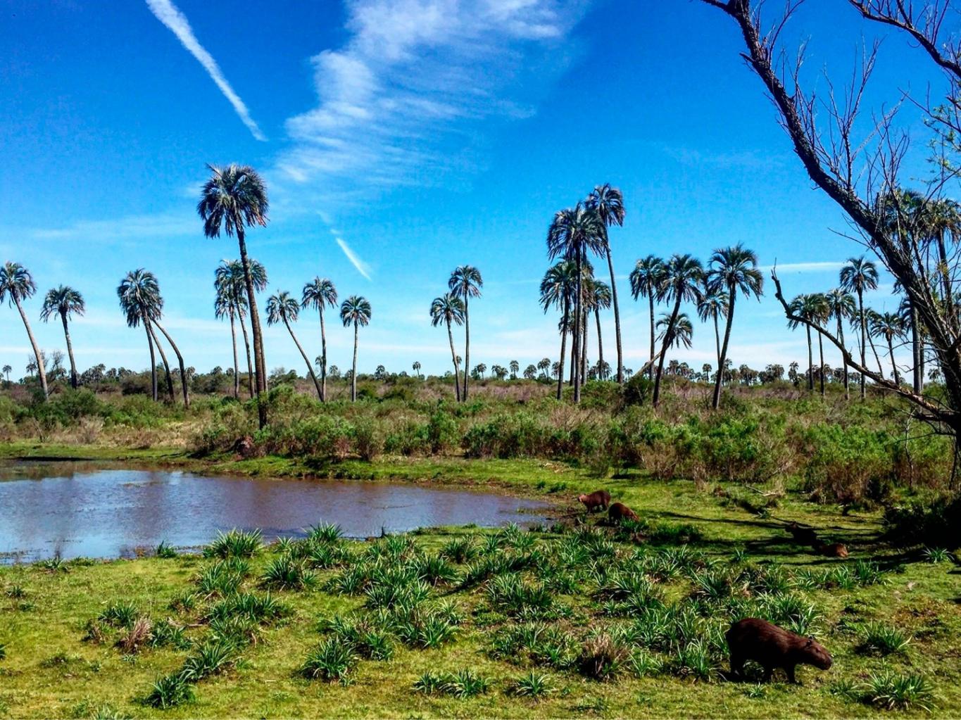 Entre Ríos se consolida como tercer destino turístico nacional