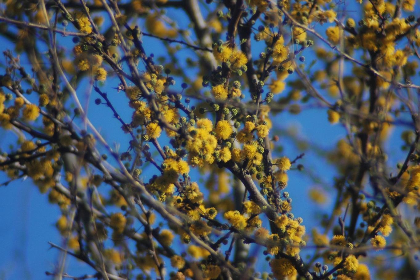 La provincia ratifica el compromiso con la educación ambiental y el cuidado del ambiente
