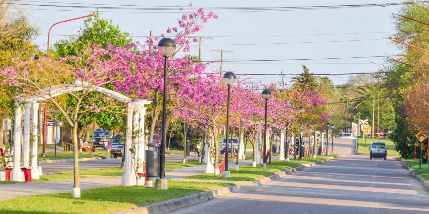 Larroque:  Referenciaron la lucha contra la violencia de género en los medios