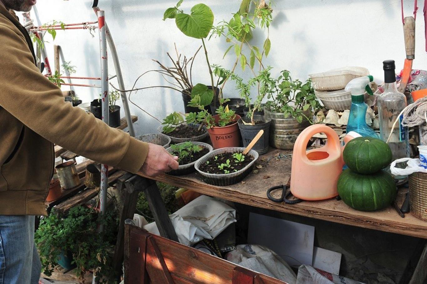 Pueblo Belgrano entrega semillas de la temporada otoño-invierno