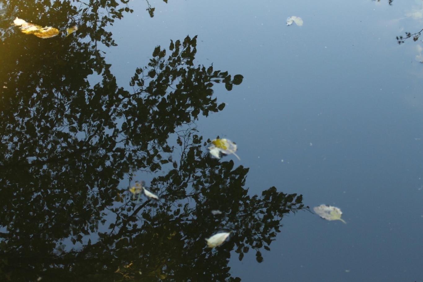 Se conocen los participantes que integran la primer residencia artística entrerriana con matriz de agua