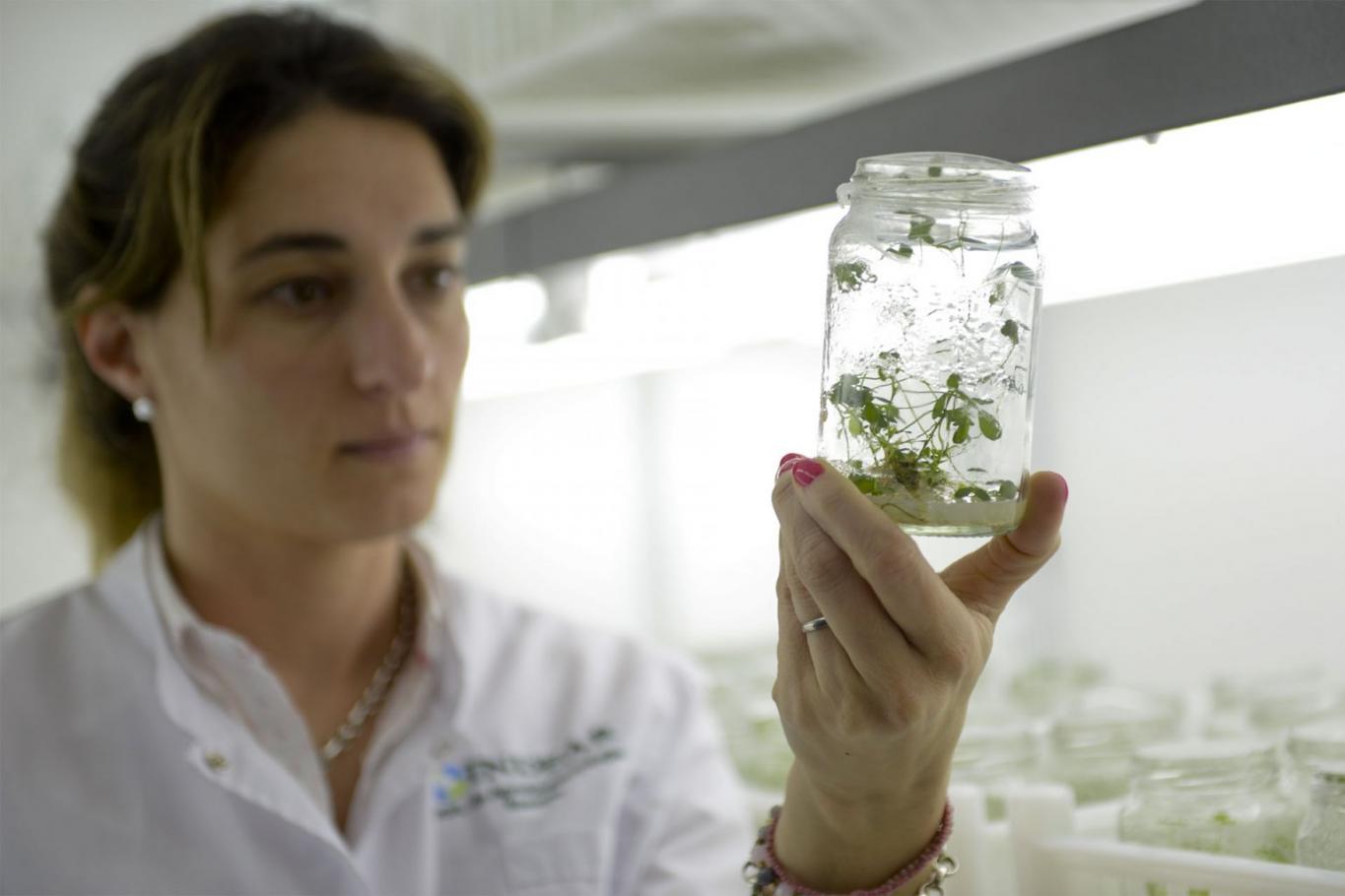 Aprobaron el financiamiento de nueve proyectos de innovación por casi 20 millones de pesos