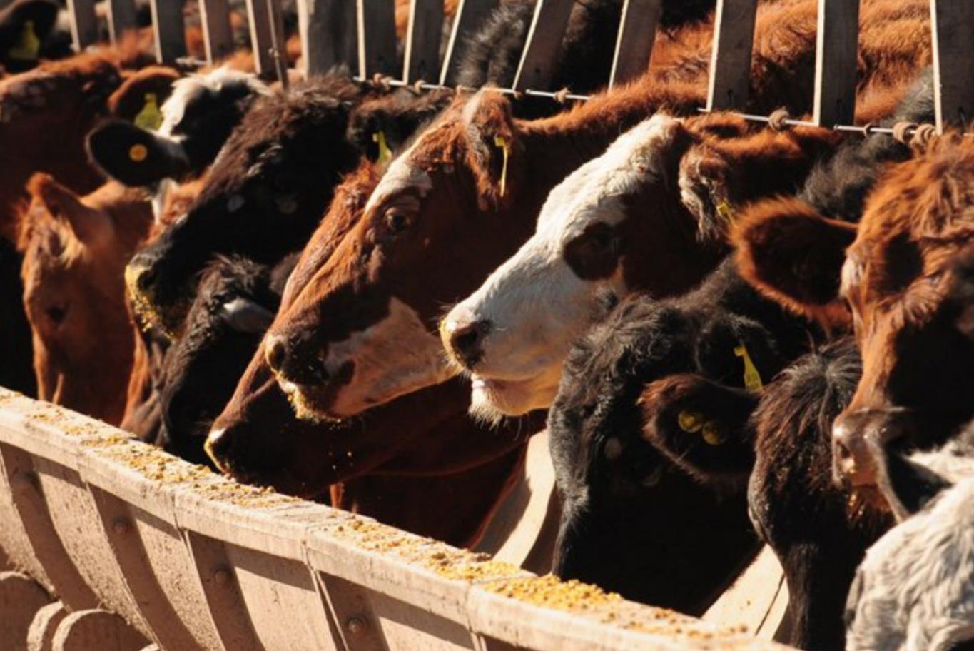 FARER: Los productores no merecen el accionar dilatorio de la justicia