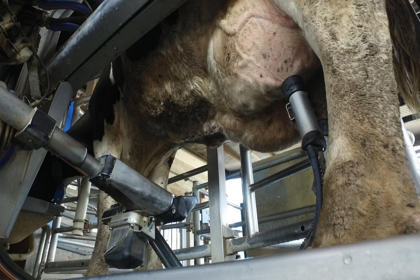 Liberan 600 millones de pesos para productores afectados por la sequía y se suman créditos a valor producto